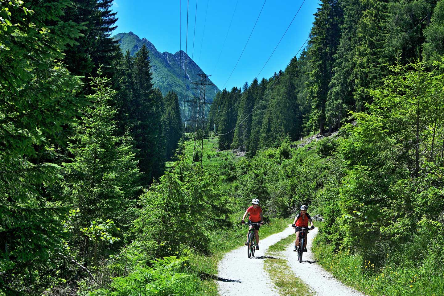 cosa-fare-a-trento-e-dintorni-ciclabili