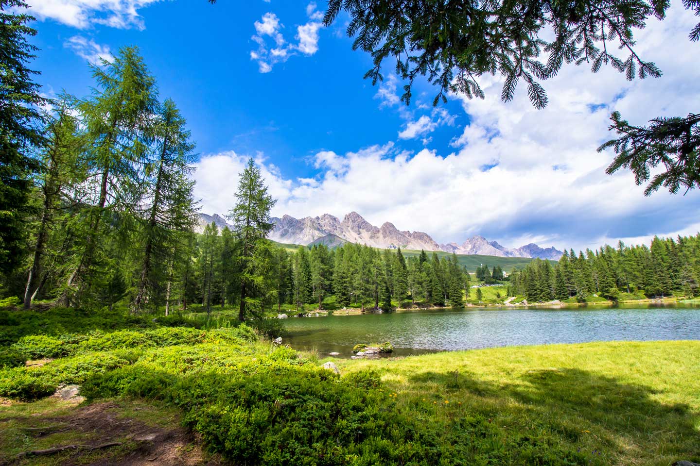 cosa-fare-a-trento-e-dintorni-la-natura-san-pellegrino